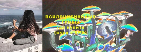 прущий лед Алексеевка
