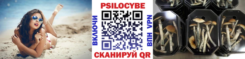 Галлюциногенные грибы прущие грибы Камышлов