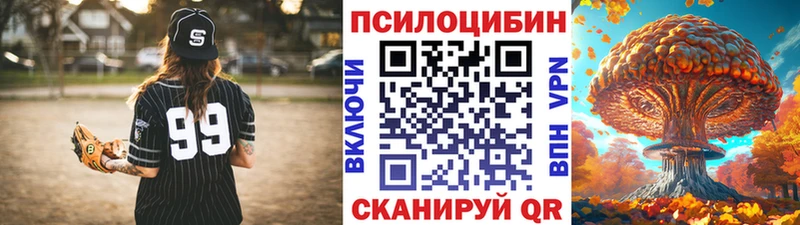Галлюциногенные грибы Psilocybine cubensis  сколько стоит  Камышлов 