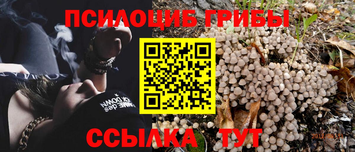 Псилоцибиновые грибы MAGIC MUSHROOMS Камышлов