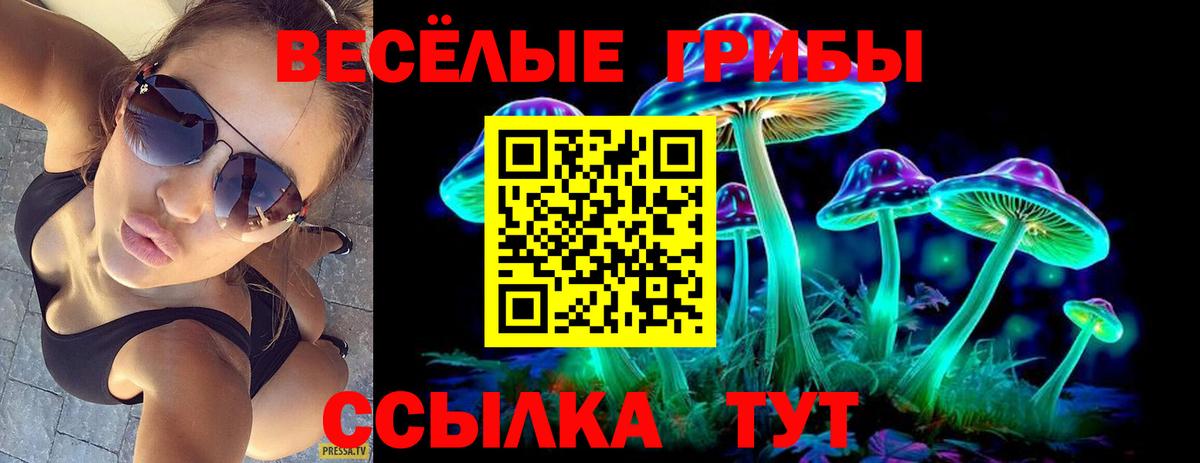 наркота  Псилоцибиновые грибы Cubensis  Вход с VPN  Камышлов 