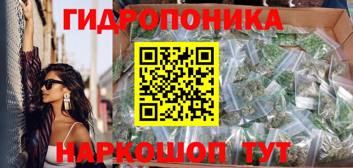 Бошки Шишки планчик Камышлов